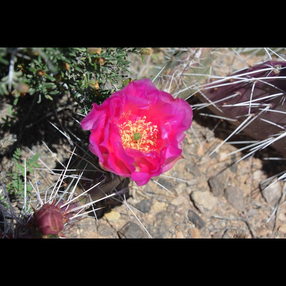 Meet your Posher, Fitfinds